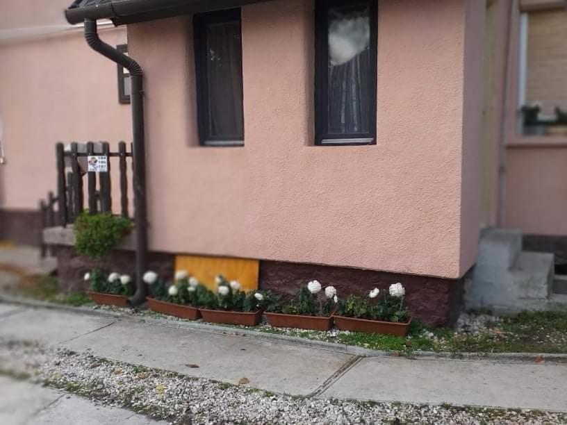 Malomtavi Vendégház Tapolca Esterno foto